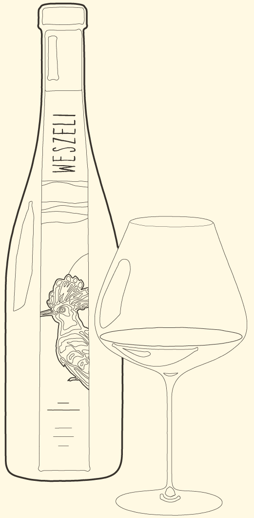 Weszeli Illustration Flasche